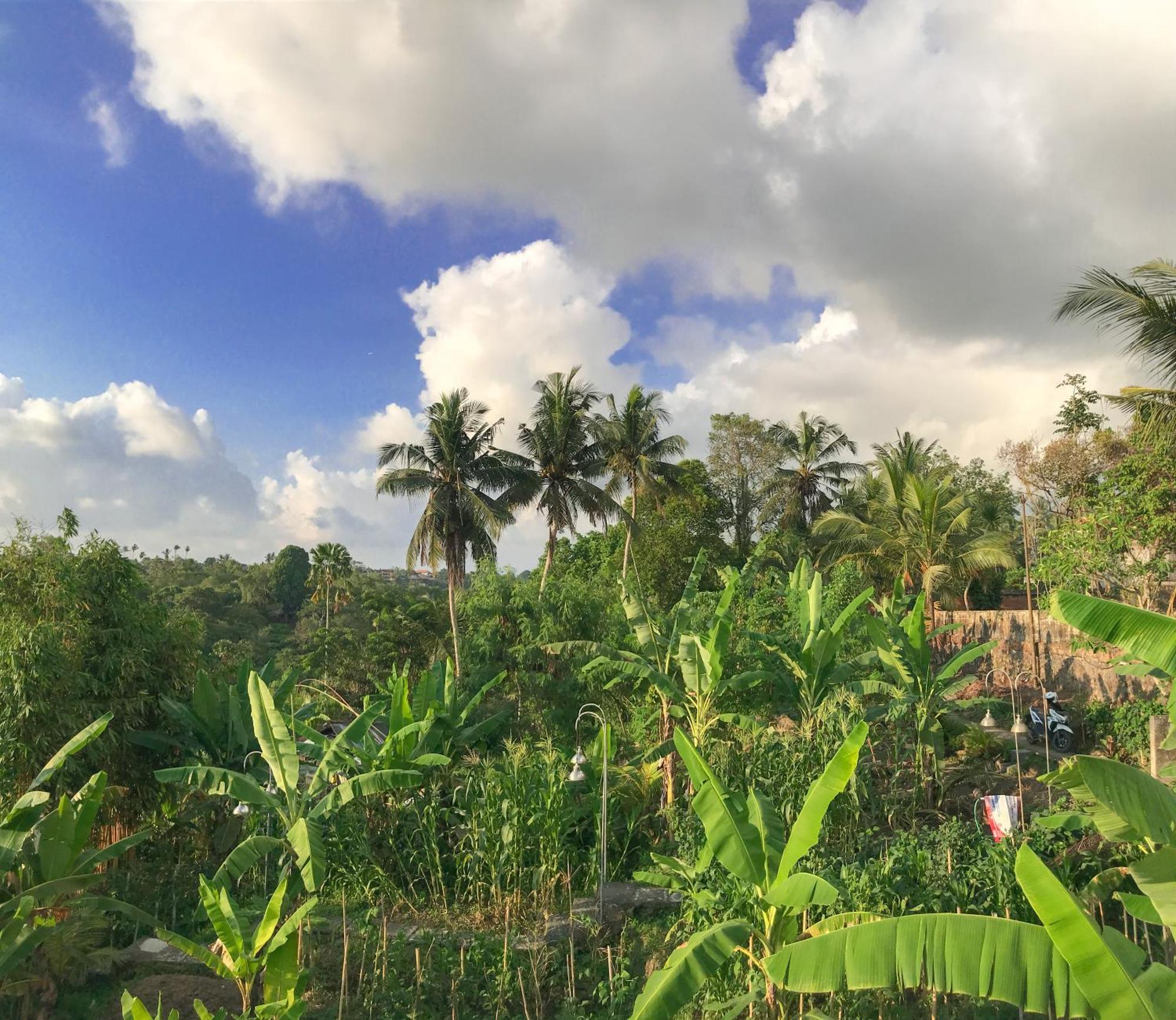Heri House Ubud Экстерьер фото